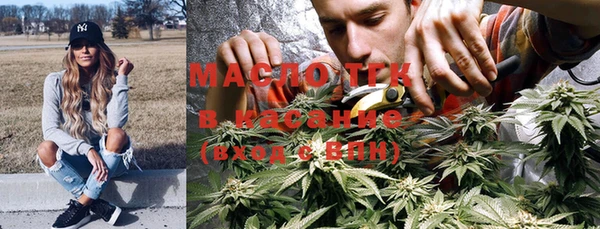 индика Абаза