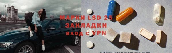 индика Абаза