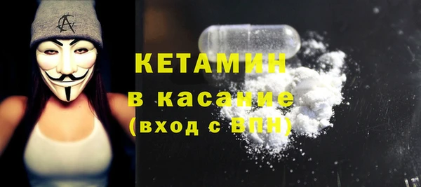 индика Абаза