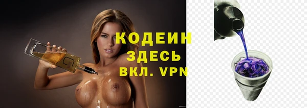 индика Абаза