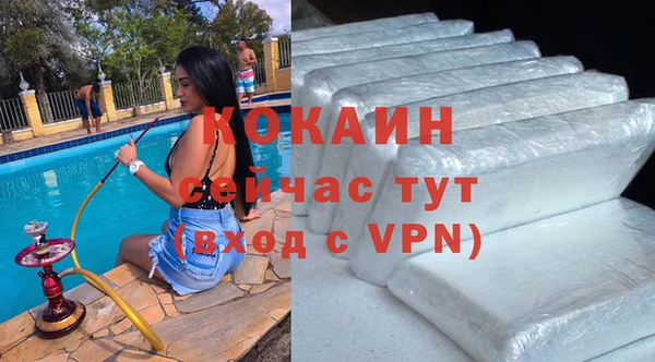 индика Абаза