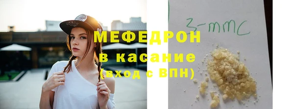 индика Абаза