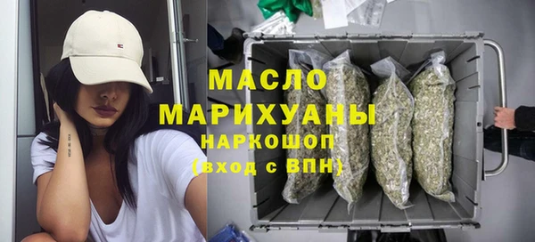 индика Абаза