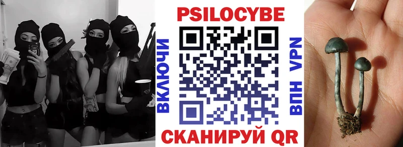 omg зеркало  купить наркотики сайты  Задонск  Псилоцибиновые грибы прущие грибы 